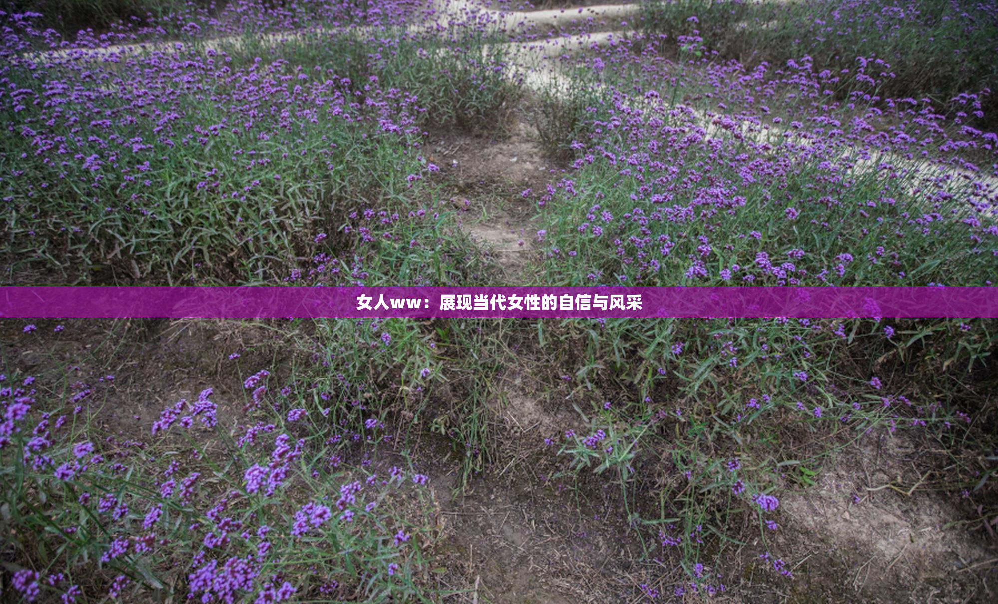 女人ww：展现当代女性的自信与风采
