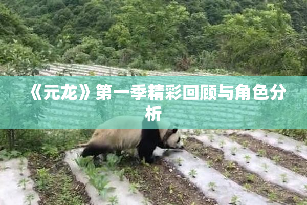 《元龙》第一季精彩回顾与角色分析