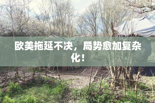 欧美拖延不决，局势愈加复杂化！