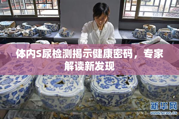 体内S尿检测揭示健康密码，专家解读新发现