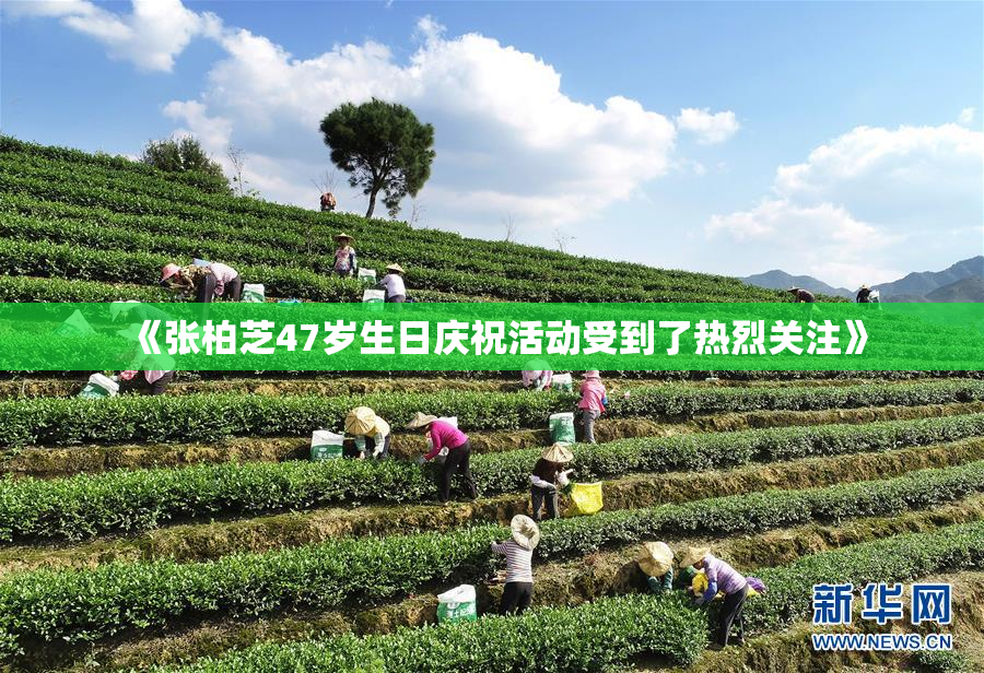 《张柏芝47岁生日庆祝活动受到了热烈关注》