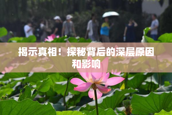 揭示真相！探秘背后的深层原因和影响