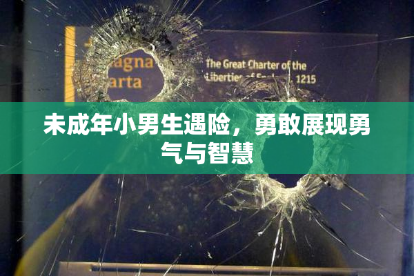 未成年小男生遇险，勇敢展现勇气与智慧