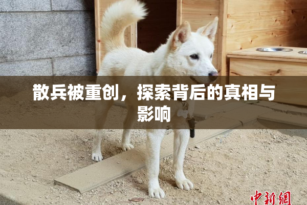 散兵被重创，探索背后的真相与影响