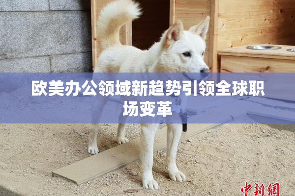 欧美办公领域新趋势引领全球职场变革