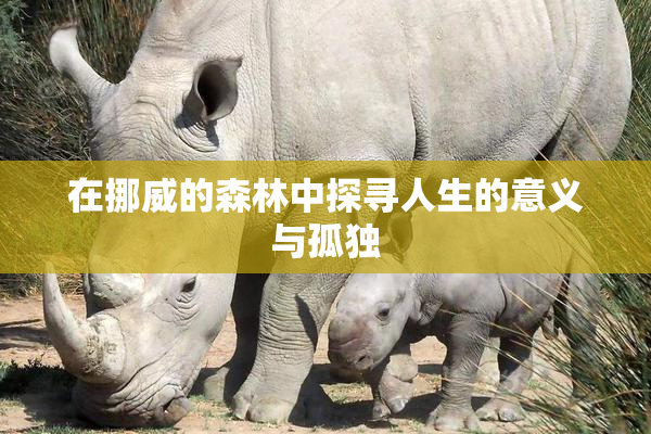 在挪威的森林中探寻人生的意义与孤独