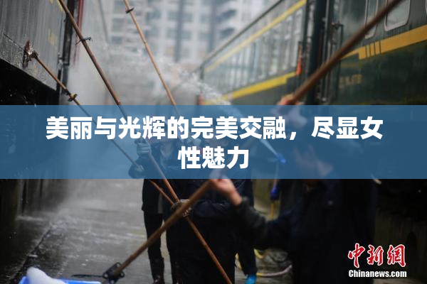 美丽与光辉的完美交融，尽显女性魅力