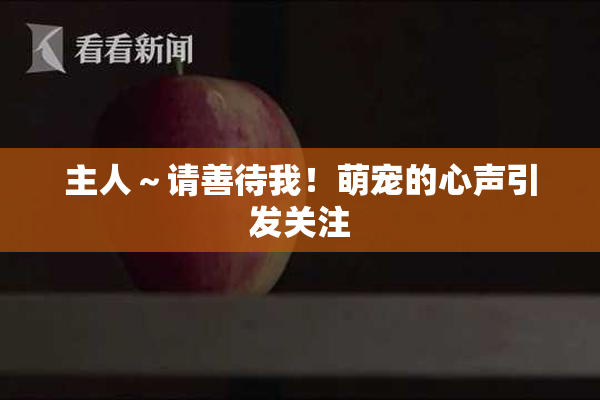 主人～请善待我！萌宠的心声引发关注