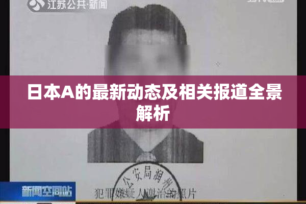 日本A的最新动态及相关报道全景解析