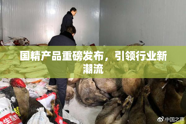 国精产品重磅发布，引领行业新潮流