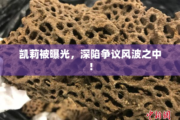 凯莉被曝光，深陷争议风波之中！