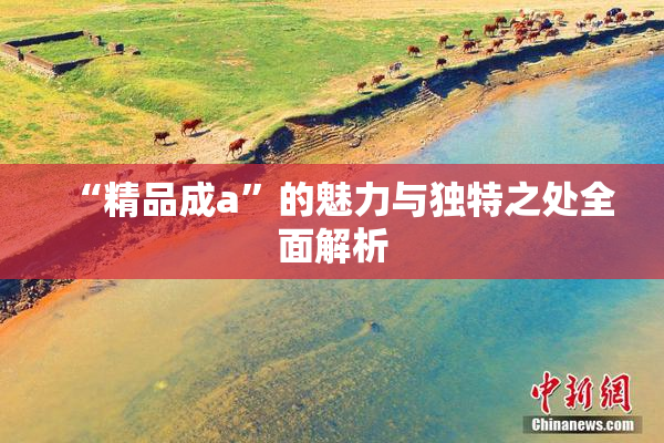 “精品成a”的魅力与独特之处全面解析