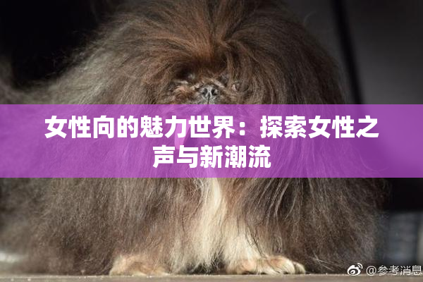 女性向的魅力世界：探索女性之声与新潮流