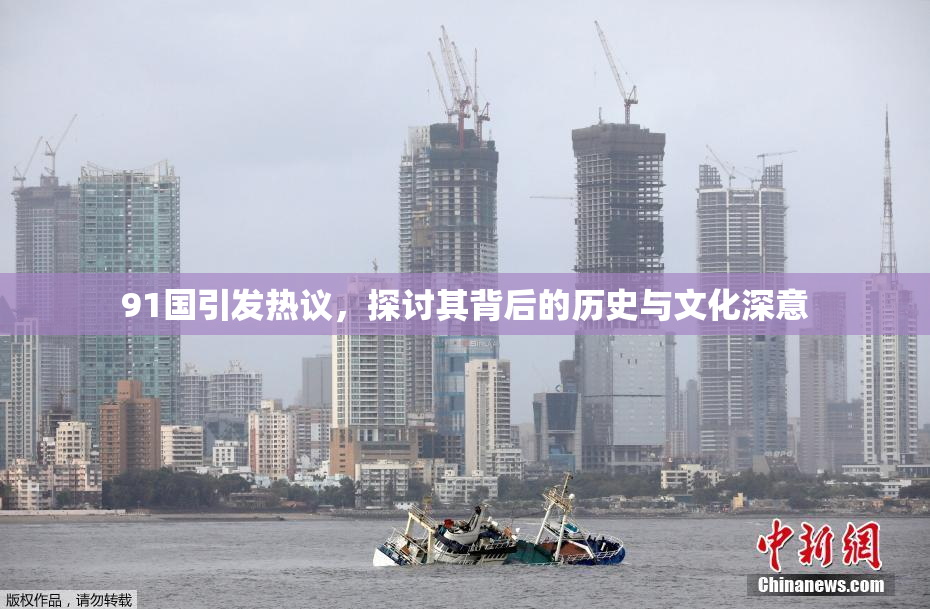91国引发热议，探讨其背后的历史与文化深意