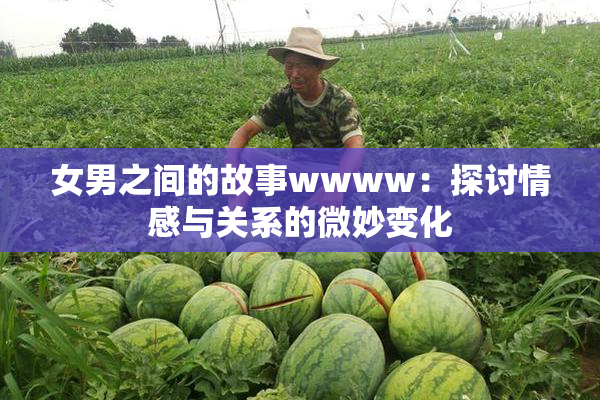 女男之间的故事wwww：探讨情感与关系的微妙变化