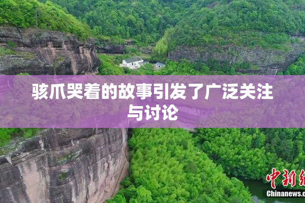 骇爪哭着的故事引发了广泛关注与讨论